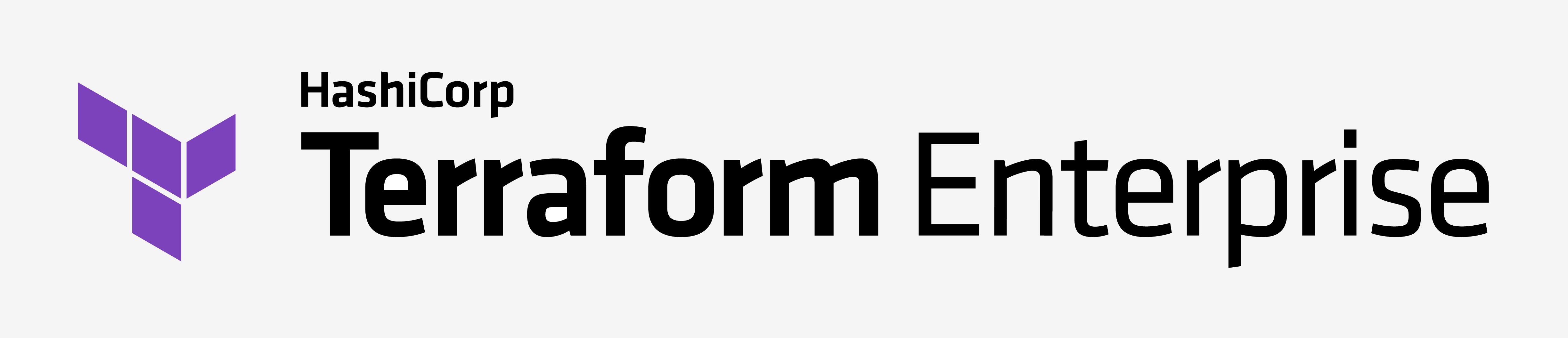 Terraform Enterprise Logo Color RGB with bg